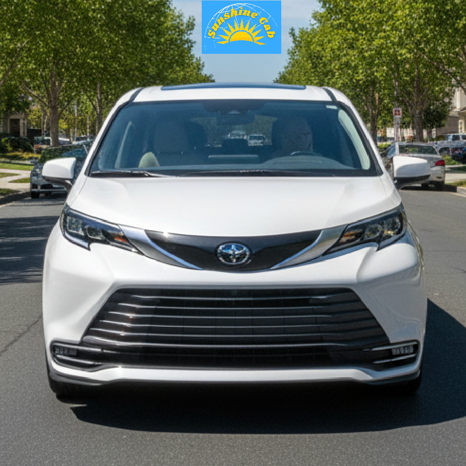 Airport Taxi Pleasanton